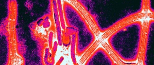 New Ebola condition leaflet