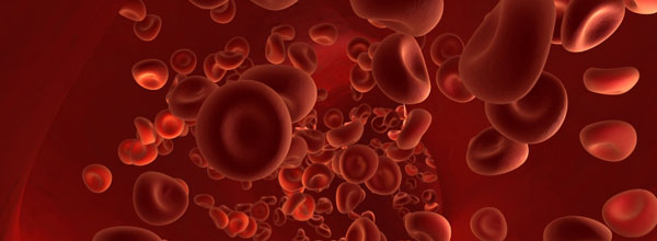 A hypo is a common term for low blood sugar